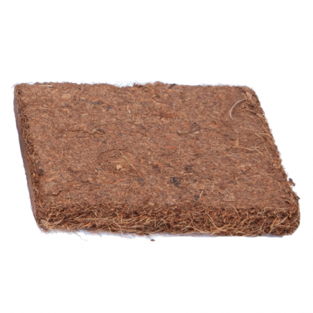Terreau de coco compressé