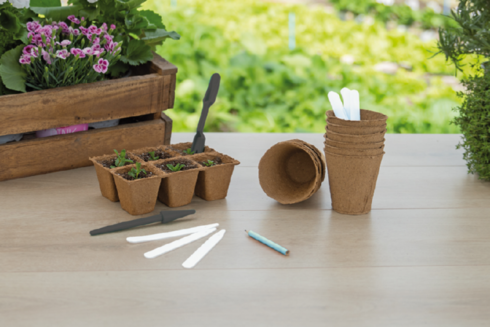 Widger and dibber set