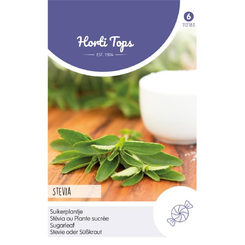 Stevia, plante sucrée