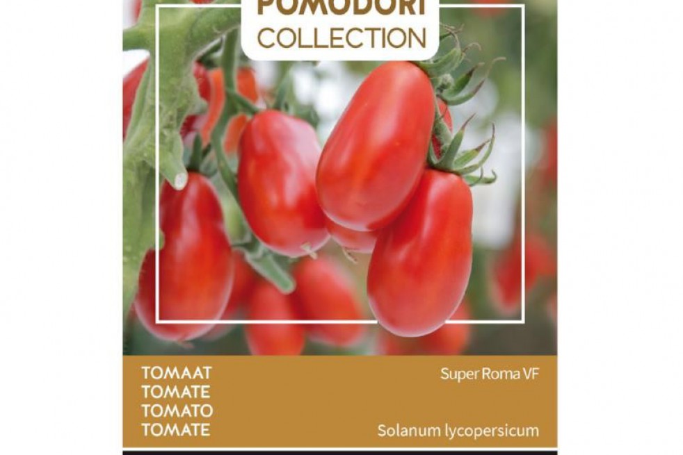 Tomate Roma Tomate Roma