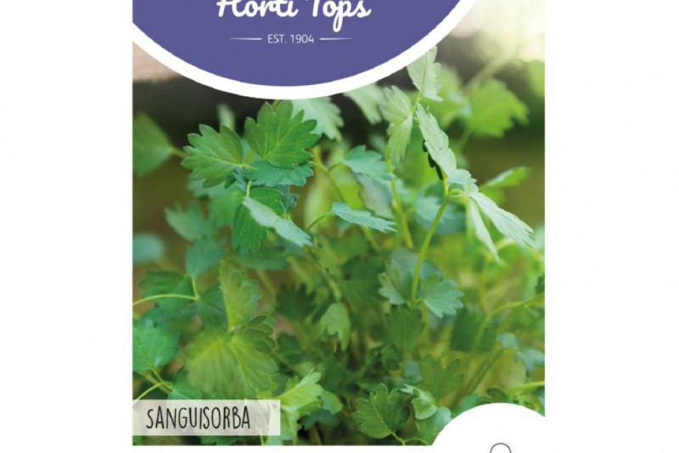 Pimprenelle Pimprenelle