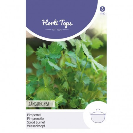 Salad Burnet