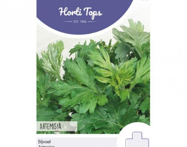 Mugwort