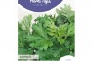 Mugwort