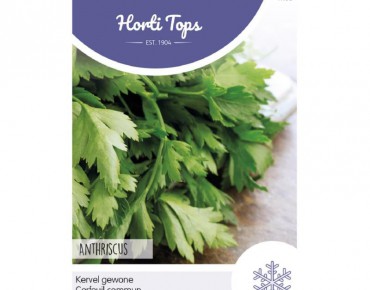 Chervil