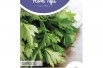 Chervil