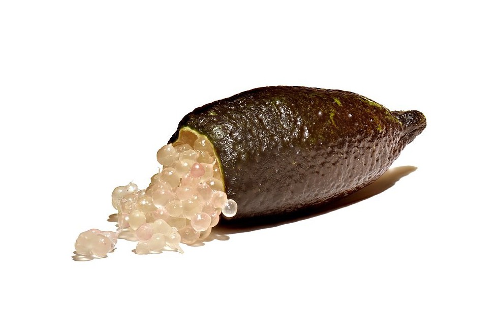 Caviar lime   (Amada44, CC BY-SA 3.0 , via Wikimedia Commons)