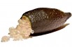 Caviar lime   (Amada44, CC BY-SA 3.0 , via Wikimedia Commons)