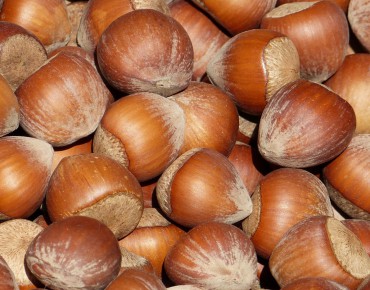 Hazelnut Tonda Romana