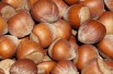 Hazelnut Tonda Romana