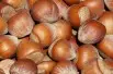 Hazelnut Tonda Romana