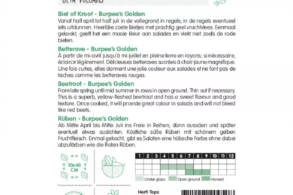 Betterave Burpee's Golden