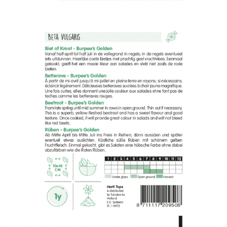 Betterave Burpee's Golden