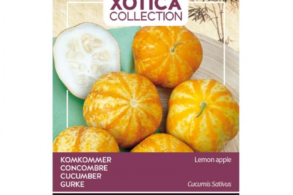 Concombre Lemon Apple Concombre Lemon Apple