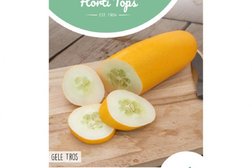Yellow cucumber