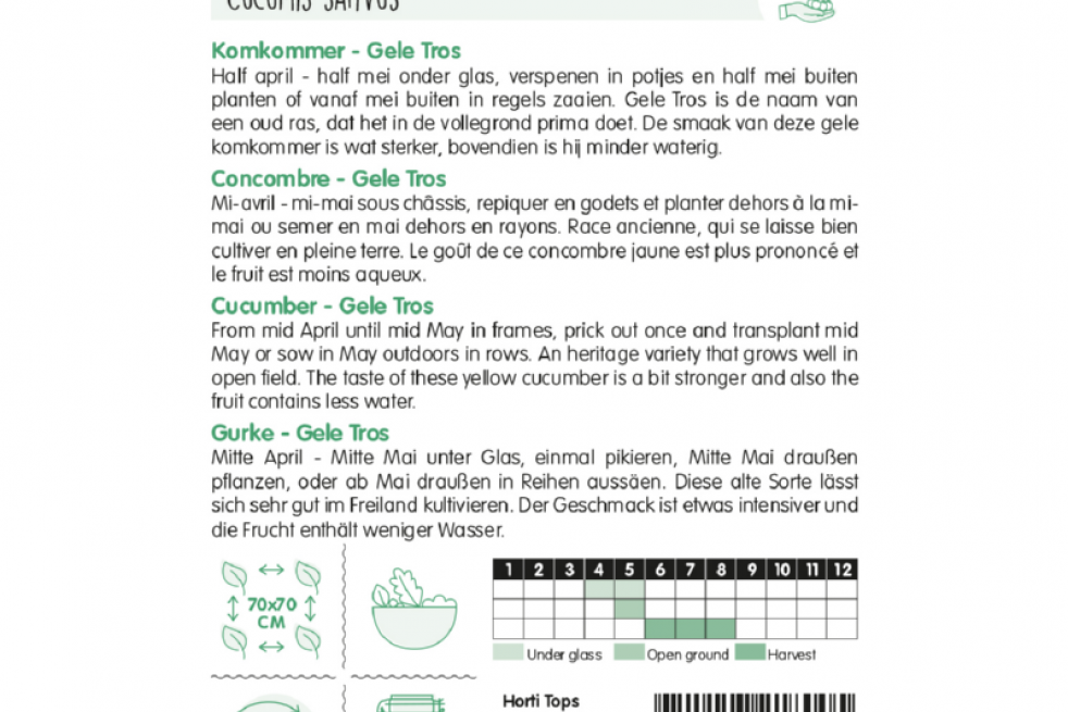 Komkommer Gele Tros Komkommer Gele Tros