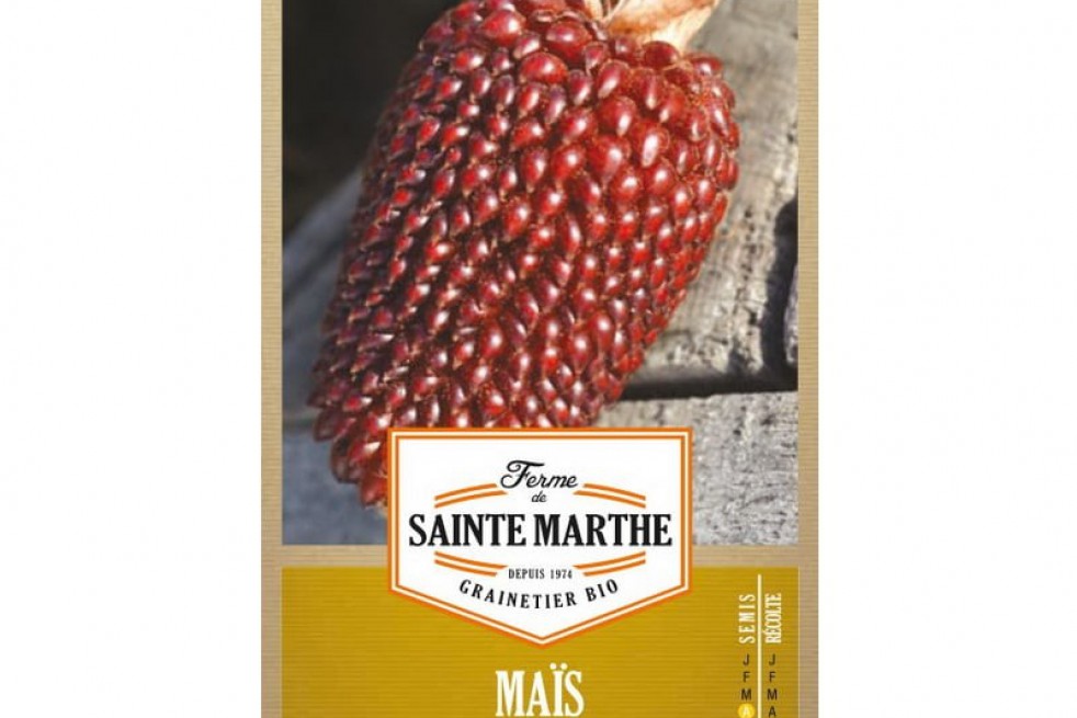 Mais zaden popcorn Aardbei