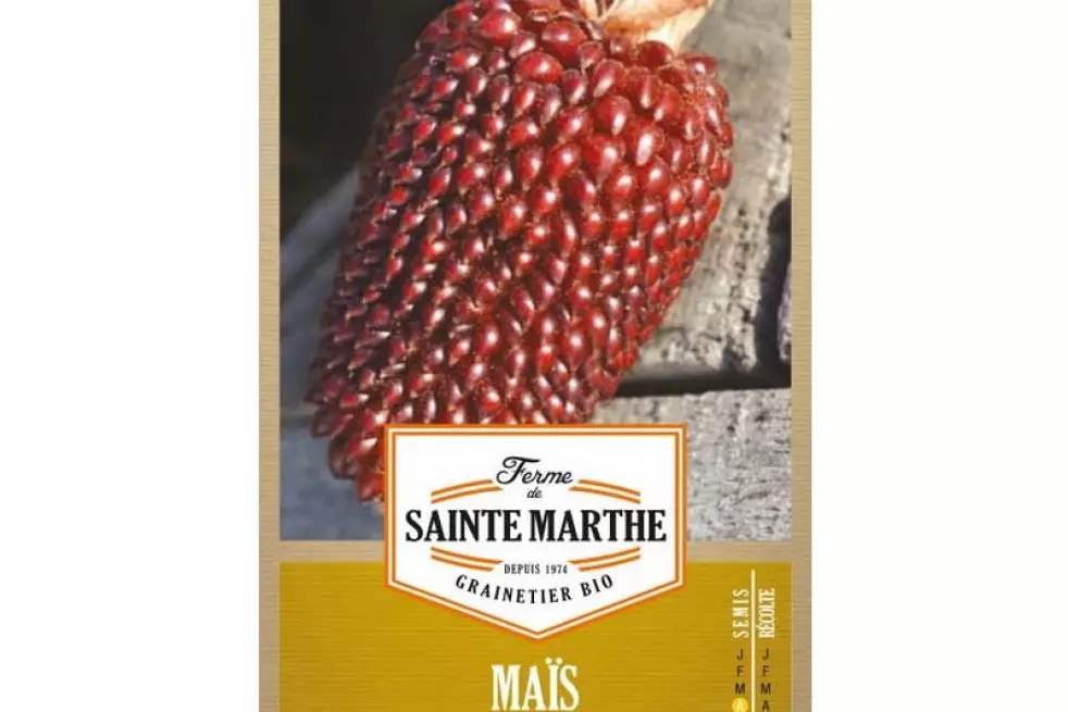 Mais zaden popcorn Aardbei