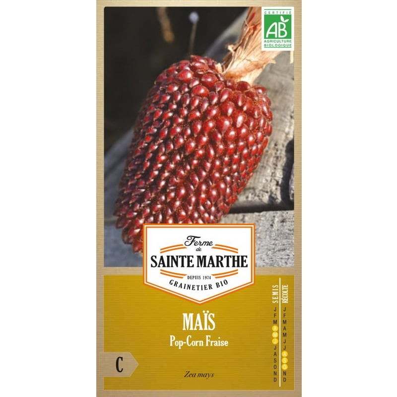 Maïs Pop-corn Fraise