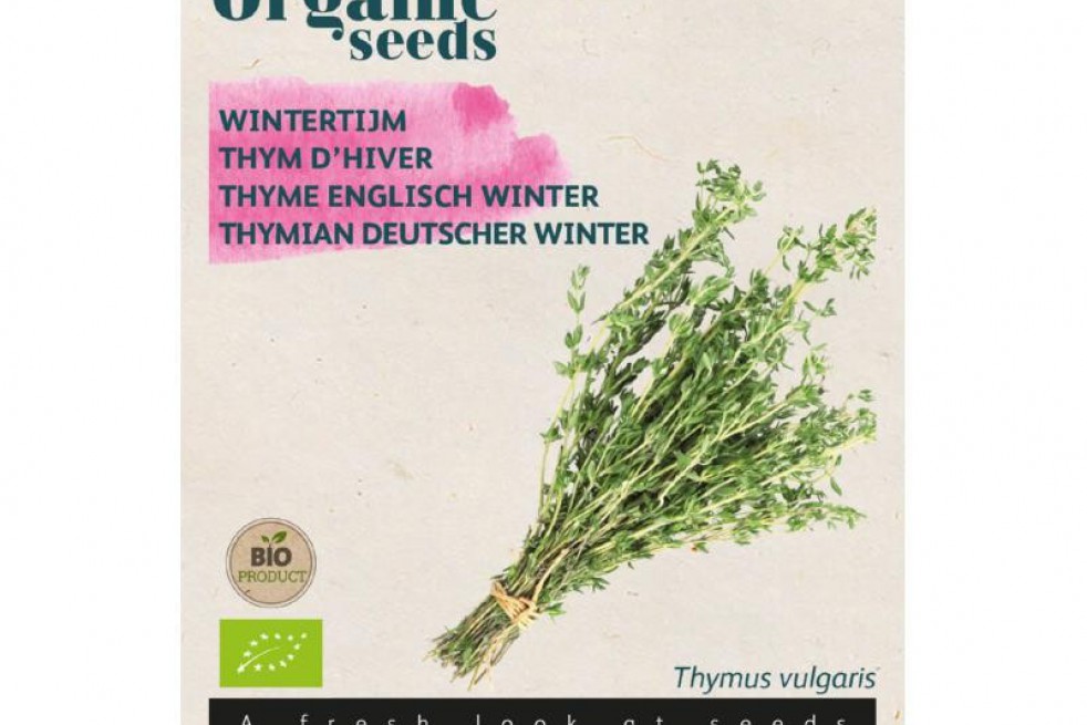 German winter thyme German winter thyme