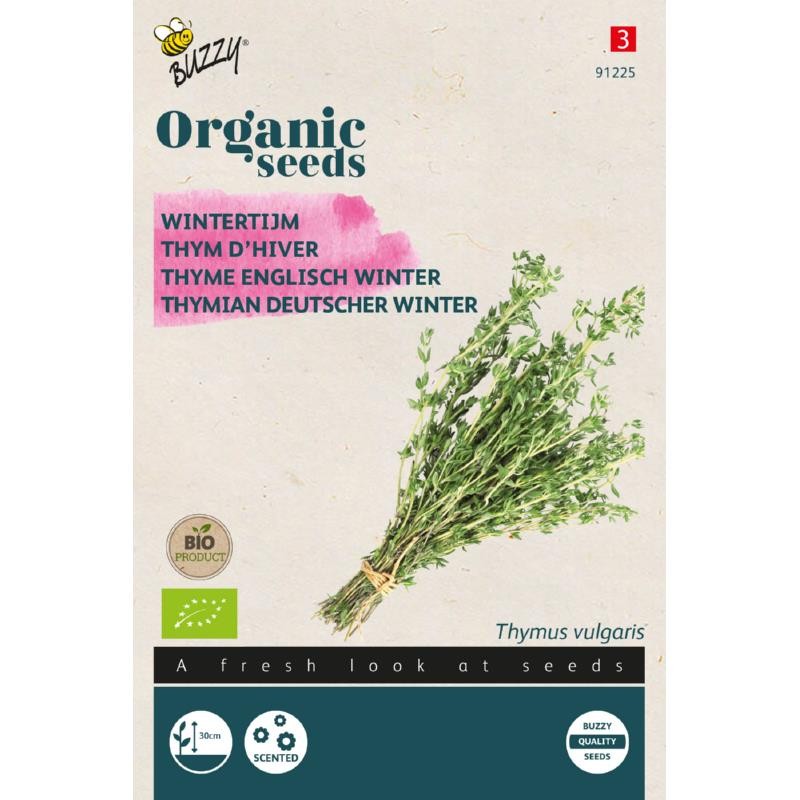 Thyme winter englisch BIO