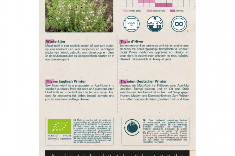 German winter thyme German winter thyme