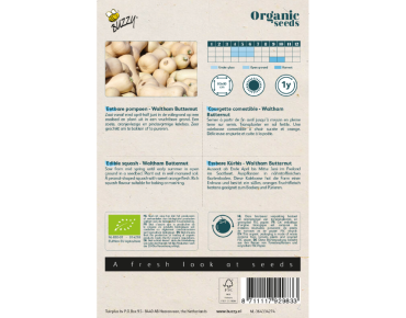 Seeds Butternut Waltham squash - Cucurbita moschata