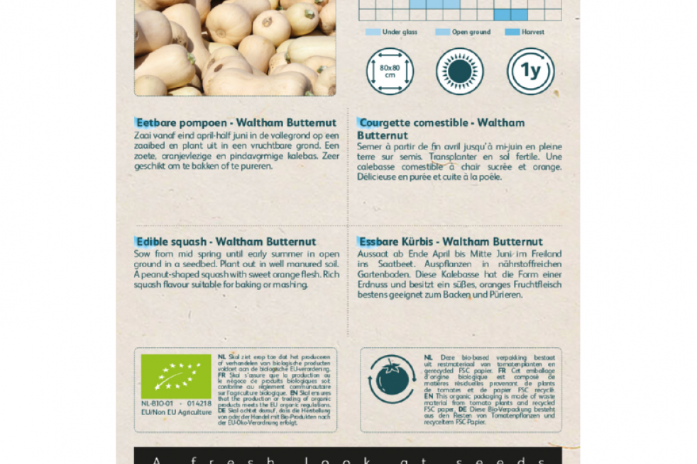 Courge Butternut Waltham Bio