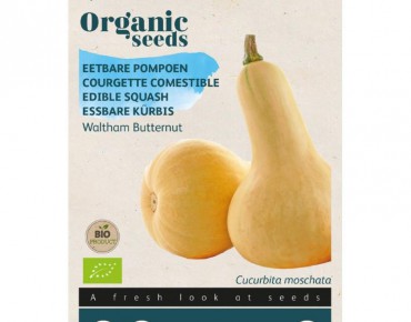Courge Butternut Waltham Bio