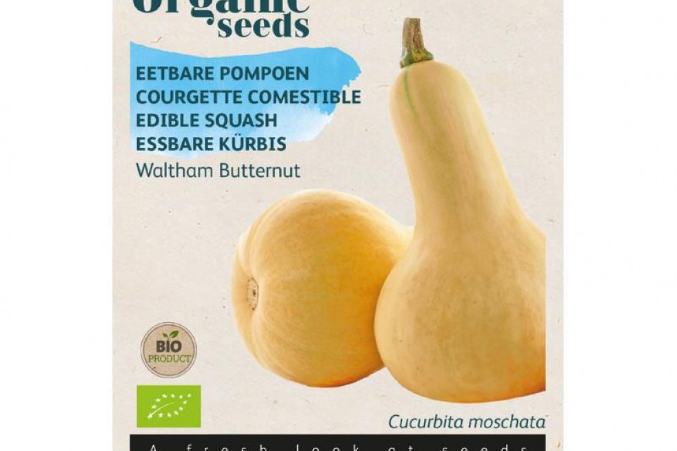 Courge Butternut Waltham Bio