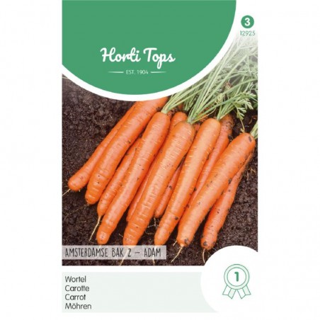 Seeds Very early Amsterdam Adam carrot - Daucus carota Adam