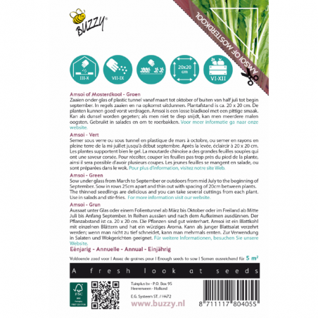 Samen Indischer Senf - Brassica juncea - Amsoi Mung Choi