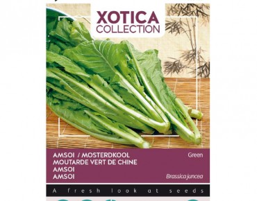 Mosterdkool groen - Amsoi...