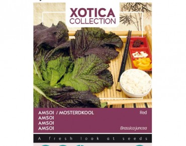 Moutarde Rouge Chinoise -...