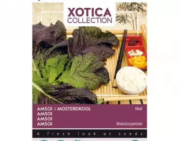 Moutarde Rouge Chinoise -...