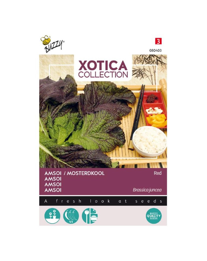 Amsoi Mung Choi: Roter Indischer Senf als Winter-Bodendecker