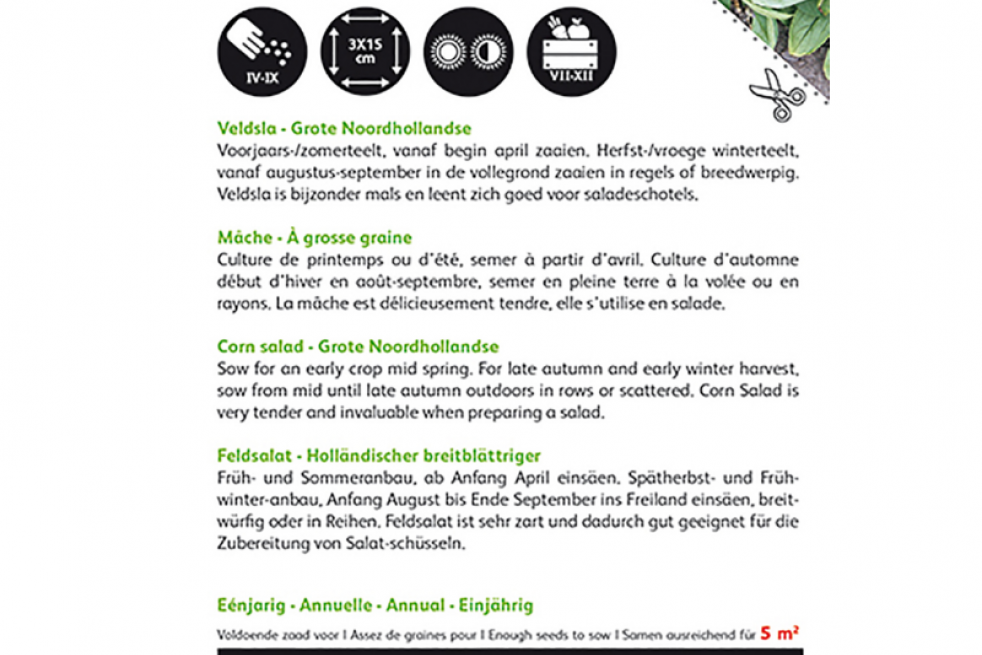 Mâche à grosse graine de Hollande, Doucette Mâche à grosse graine de Hollande, Doucette