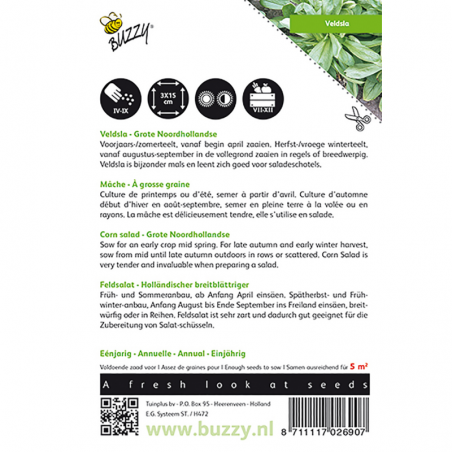 Mâche à grosse graine de Hollande, Doucette