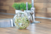 Linzen to sprout, organic