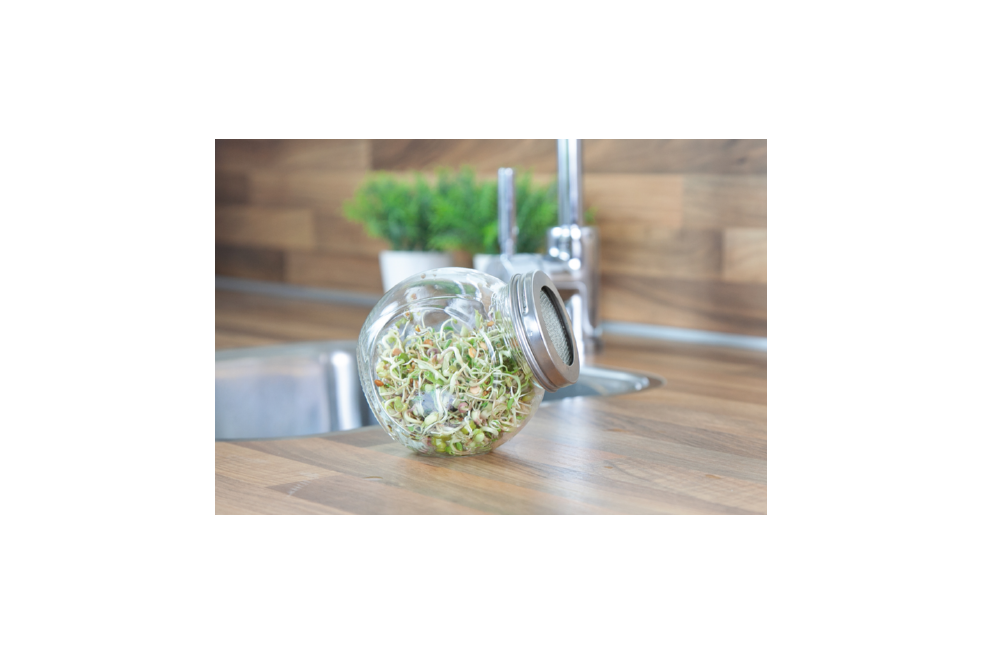 Daikon, radis japonais Daikon, radis japonais