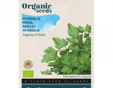 Persil Géant d’Italie BIO