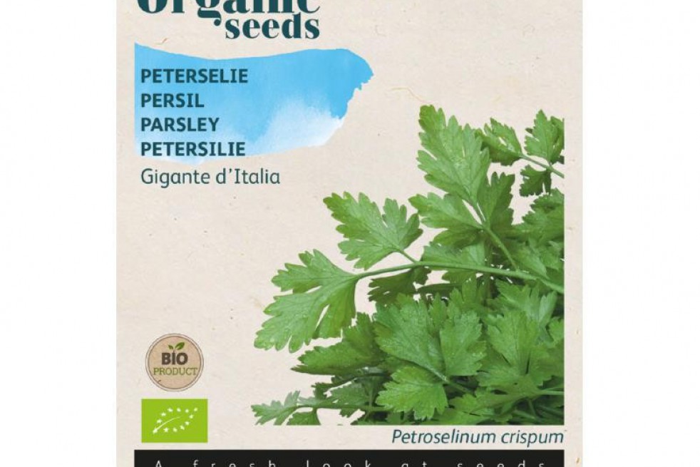 Persil Géant d’Italie BIO