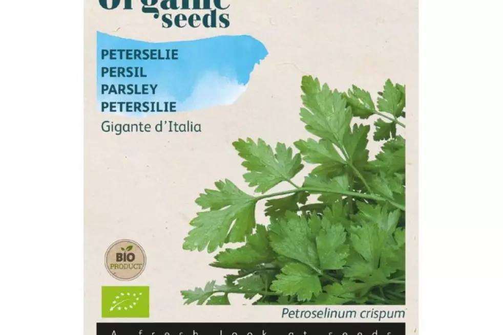 Persil Géant d’Italie BIO
