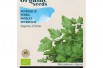 Persil Géant d’Italie BIO