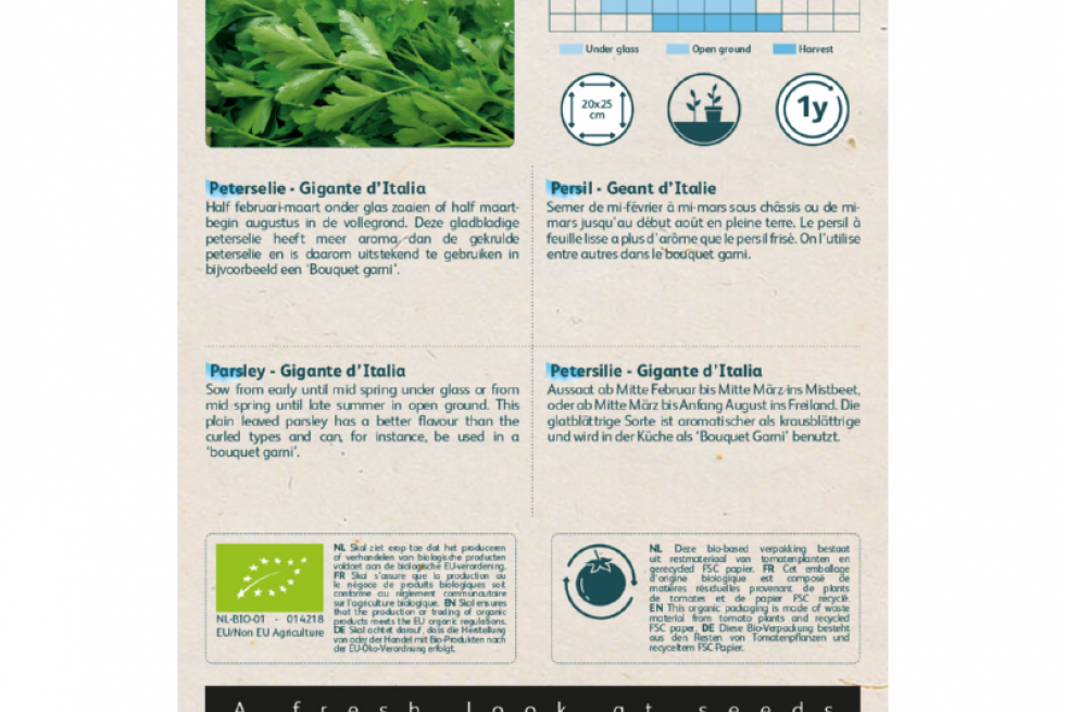 Persil Géant d’Italie BIO