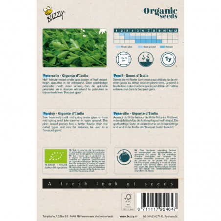 Persil Géant d’Italie BIO