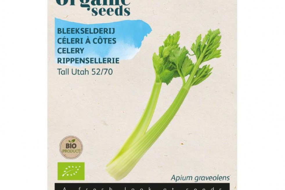 Céleri à Côtes Tall Utah Céleri à Côtes Tall Utah
