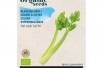 Céleri à Côtes Tall Utah Céleri à Côtes Tall Utah