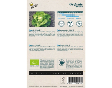 Samen Laitue pommée Hilde BIO - Lactuca sativa