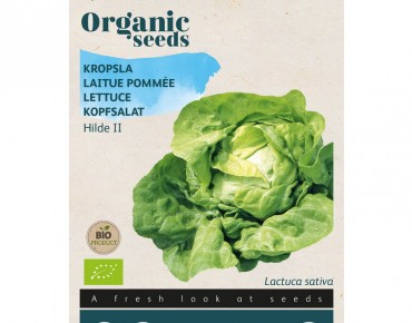 Lettuce Hilde BIO